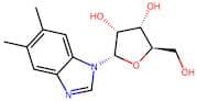 (2S,3R,4S,5R)-2-(5,6-Dimethyl-1H-benzo[d]imidazol-1-yl)-5-(hydroxymethyl)tetrahydrofuran-3,4-diol