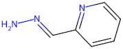 (E)-2-(Hydrazineylidenemethyl)pyridine