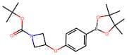 tert-Butyl 3-(4-(4,4,5,5-tetramethyl-1,3,2-dioxaborolan-2-yl)phenoxy)azetidine-1-carboxylate