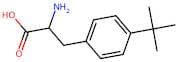 2-Amino-3-(4-(tert-butyl)phenyl)propanoic acid