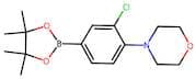 3-Chloro-4-morpholinophenylboronic Acid Pinacol Ester