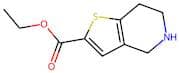 Ethyl 4,5,6,7-tetrahydrothieno[3,2-c]pyridine-2-carboxylate