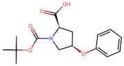 (2R,4R)-1-(tert-Butoxycarbonyl)-4-phenoxypyrrolidine-2-carboxylic acid