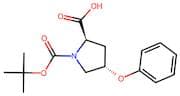 (2R,4S)-1-(tert-Butoxycarbonyl)-4-phenoxypyrrolidine-2-carboxylic acid