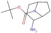tert-Butyl 2-amino-8-azabicyclo[3.2.1]octane-8-carboxylate