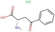 (S)-2-Amino-4-oxo-4-phenylbutanoic acid hydrochloride