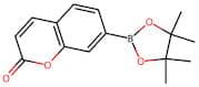7-(4,4,5,5-Tetramethyl-1,3,2-dioxaborolan-2-yl)-2H-chromen-2-one