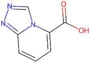 [1,2,4]Triazolo[4,3-a]pyridine-5-carboxylic acid