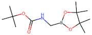 tert-Butyl ((4,4,5,5-tetramethyl-1,3,2-dioxaborolan-2-yl)methyl)carbamate