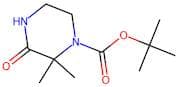 tert-Butyl 2,2-dimethyl-3-oxopiperazine-1-carboxylate
