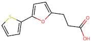 3-(5-(Thiophen-2-yl)furan-2-yl)propanoic acid