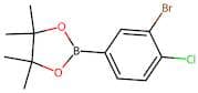 2-(3-Bromo-4-chlorophenyl)-4,4,5,5-tetramethyl-1,3,2-dioxaborolane