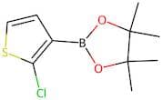 2-(2-Chlorothiophen-3-yl)-4,4,5,5-tetramethyl-1,3,2-dioxaborolane