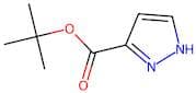 tert-Butyl 1H-pyrazole-3-carboxylate