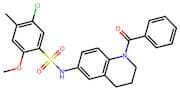 N-(1-Benzoyl-1,2,3,4-tetrahydroquinolin-6-yl)-5-chloro-2-methoxy-4-methylbenzenesulfonamide