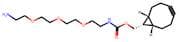 endo-BCN-PEG3-NH2