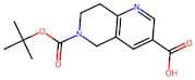 6-(tert-Butoxycarbonyl)-5,6,7,8-tetrahydro-1,6-naphthyridine-3-carboxylic acid