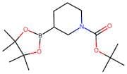 tert-Butyl 3-(4,4,5,5-tetramethyl-1,3,2-dioxaborolan-2-yl)piperidine-1-carboxylate