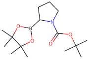 tert-Butyl 2-(tetramethyl-1,3,2-dioxaborolan-2-yl)pyrrolidine-1-carboxylate