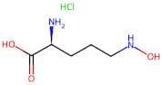 (S)-2-Amino-5-(hydroxyamino)pentanoic acid hydrochloride