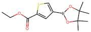 Ethyl 4-(4,4,5,5-tetramethyl-1,3,2-dioxaborolan-2-yl)thiophene-2-carboxylate