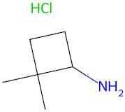 2,2-DimethylCyclobutan-1-amine hydrochloride