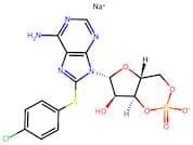 Sodium (4aR,6R,7R,7aS)-6-(6-amino-8-((4-chlorophenyl)thio)-9H-purin-9-yl)-7-hydroxytetrahydro-4H-f…