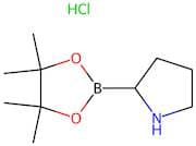 2-(4,4,5,5-Tetramethyl-1,3,2-dioxaborolan-2-yl)pyrrolidine hydrochloride