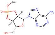 Adenosine 2',3'-cyclic phosphate (sodium)