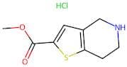 Methyl 4,5,6,7-tetrahydrothieno[3,2-c]pyridine-2-carboxylate hydrochloride