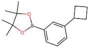 3-Cyclobutylphenylboronic acid pinacol ester