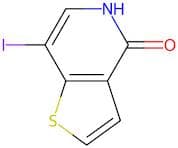 7-Iodo-4,5-dihydrothieno[3,2-c]pyridin-4-one