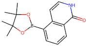 5-(Tetramethyl-1,3,2-dioxaborolan-2-yl)-1,2-dihydroisoquinolin-1-one