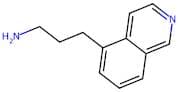 3-(Isoquinolin-5-yl)propan-1-amine