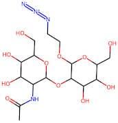 glcNAc β(1-2)Man-α-ethylazide