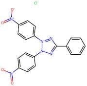 2,3-Bis(4-nitrophenyl)-5-phenyltetrazolium Chloride
