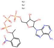 Adenosine 5'-Triphosphate P3-[1-(2-Nitrophenyl)ethyl Ester] Trisodium Salt