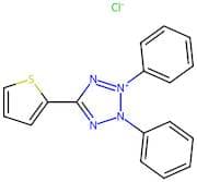 2,3-Diphenyl-5-(2-thienyl)tetrazolium Chloride
