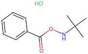 O-Benzoyl-N-tert-butylhydroxylamine Hydrochloride
