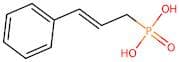Cinnamylphosphonic Acid