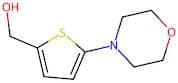 (5-Morpholin-4-ylthien-2-yl)methanol