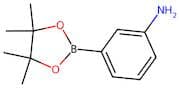 3-Aminobenzeneboronic acid, pinacol ester