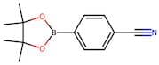 4-Cyanobenzeneboronic acid, pinacol ester