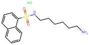 N-(6-Aminohexyl)-1-naphthalenesulphonamide hydrochloride