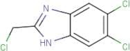 5,6-Dichloro-2-(chloromethyl)-1H-benzimidazole