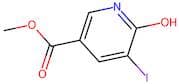 Methyl 6-hydroxy-5-iodonicotinate