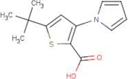 5-tert-Butyl-3-(1H-pyrrol-1-yl)thiophene-2-carboxylic acid