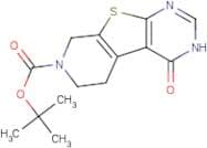 tert-Butyl 4-oxo-3,5,6,8-tetrahydropyrido[4',3':4,5]thieno[2,3-d]pyrimidine-7(4H)-carboxylate