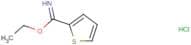 Ethyl thiophene-2-carboximidoate hydrochloride