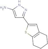 3-(4,5,6,7-Tetrahydro-1-benzothiophen-2-yl)-1H-pyrazol-5-amine